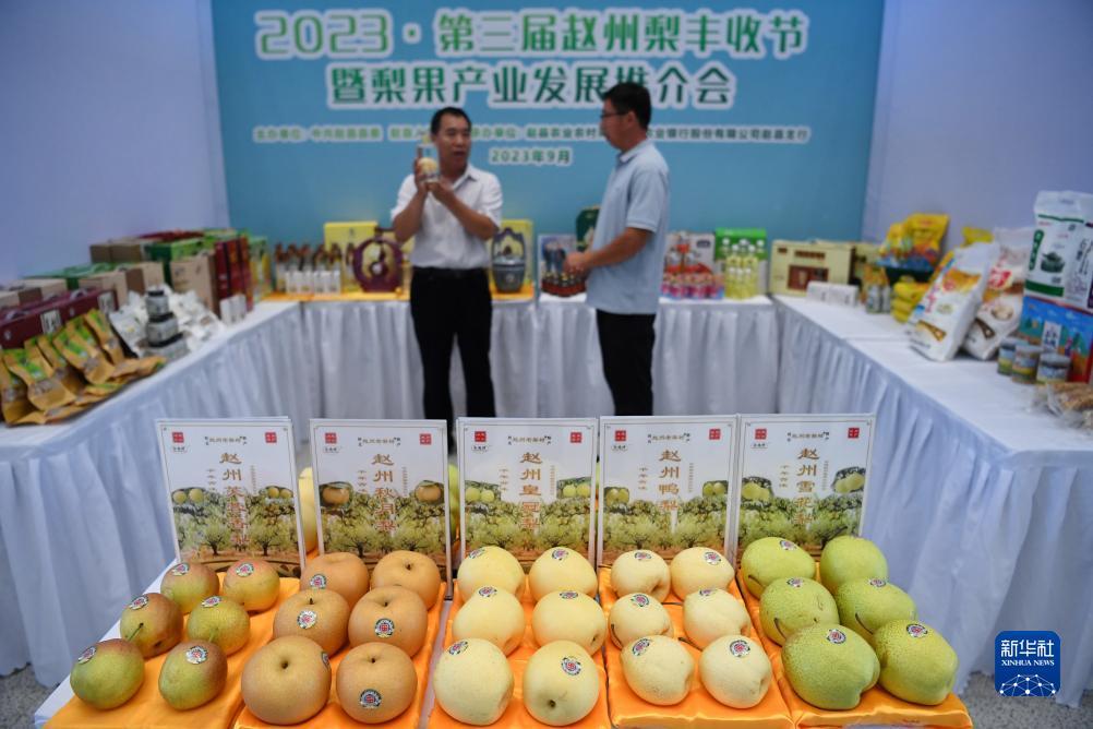 口袋棋牌官网k